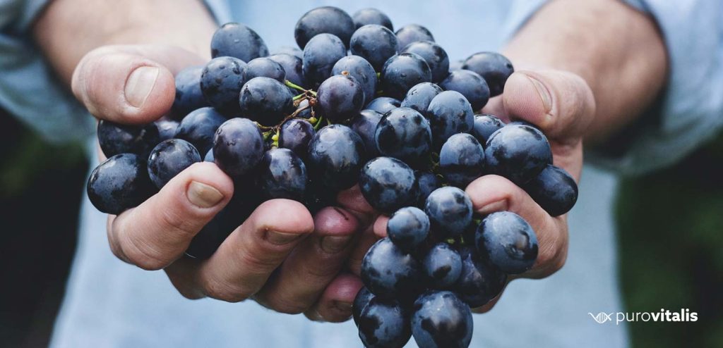 Danh sách các loại vitamin chống lão hóa 9 resveratrol grapes