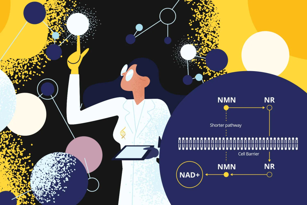 Cách tăng NAD+ bằng cách tự nhiên và cách bổ sung - Hướng dẫn đầy đủ 5 NAD-la-gi
