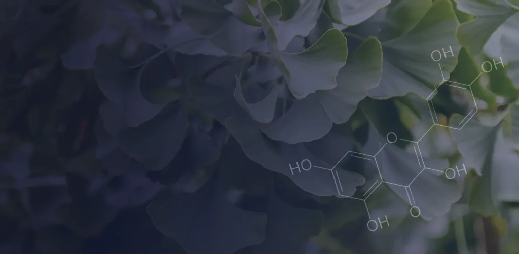 Quercetin là gì? Lợi ích, vai trò, liều lượng và tác dụng phụ 3 what is quercetin plain 1