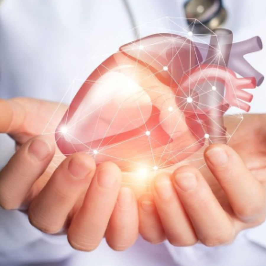 Vitamin D3 là gì? Tác dụng, liều lượng và lưu ý khi dùng vitamin D3 24 cai-thien-suc-khoe-tim-mach