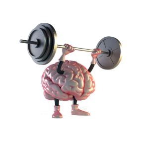 Review NMN – Thành tựu nghiên cứu khoa học vượt trội của thế kỷ 15 224