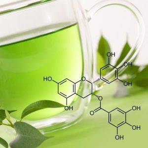 Bật mí 16 loại thực phẩm chức năng chống lão hóa bạn nên biết 31 egcg-tra-xanh