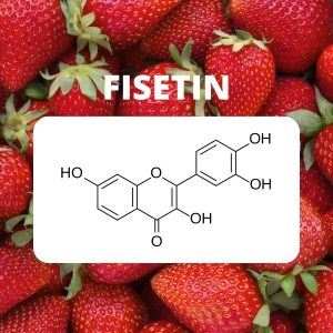 Bật mí 16 loại thực phẩm chức năng chống lão hóa bạn nên biết 34 fisetin-dau-tay