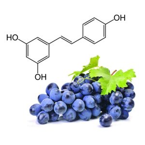 Bật mí 16 loại thực phẩm chức năng chống lão hóa bạn nên biết 25 chat-resveratrol
