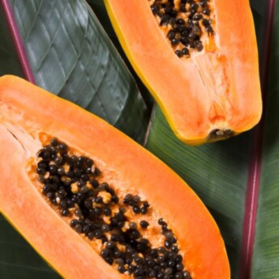 qua-chong-lao-hoa-du-du