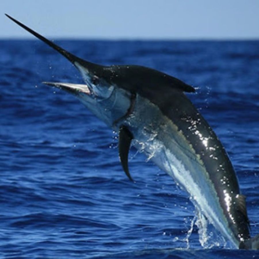 thuc-pham-chua-d3-kiem