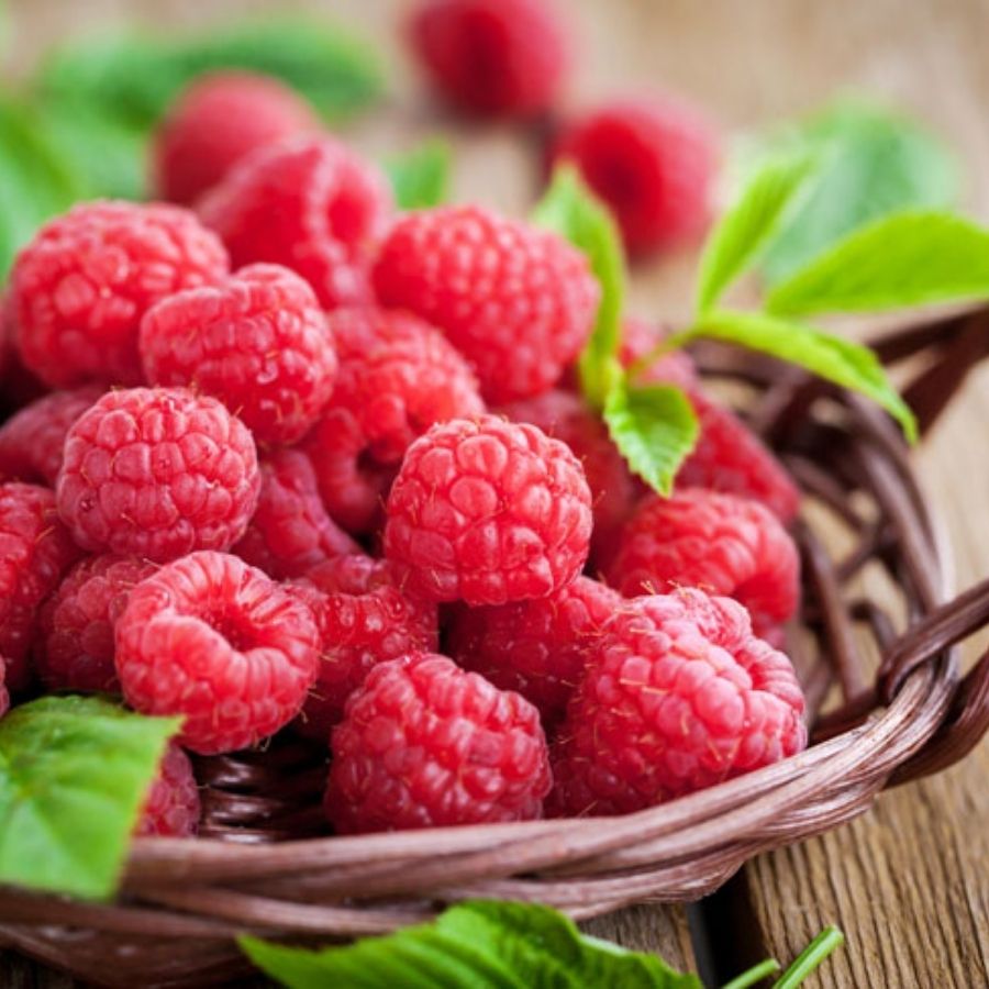 qua-chong-lao-hoa-mam-xoi