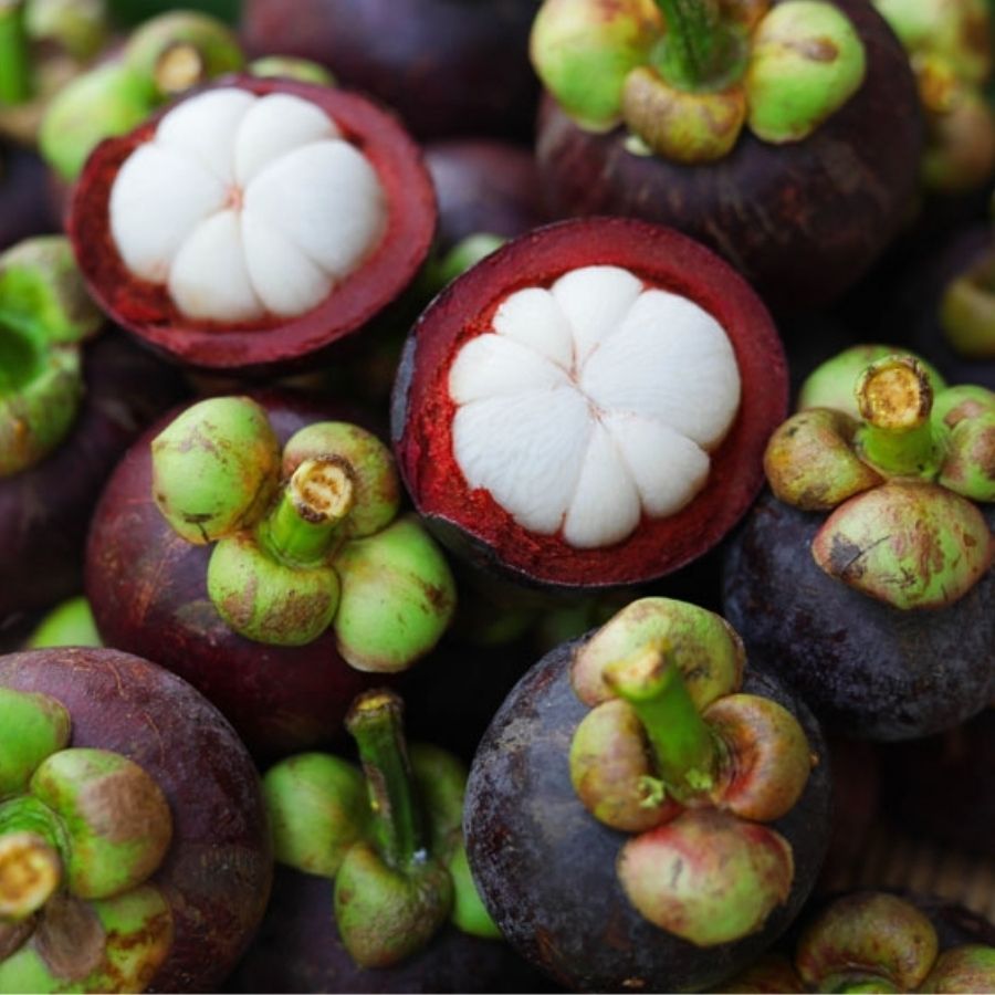 qua-chong-lao-hoa-mang-cut