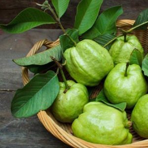 qua-chong-lao-hoa-oi