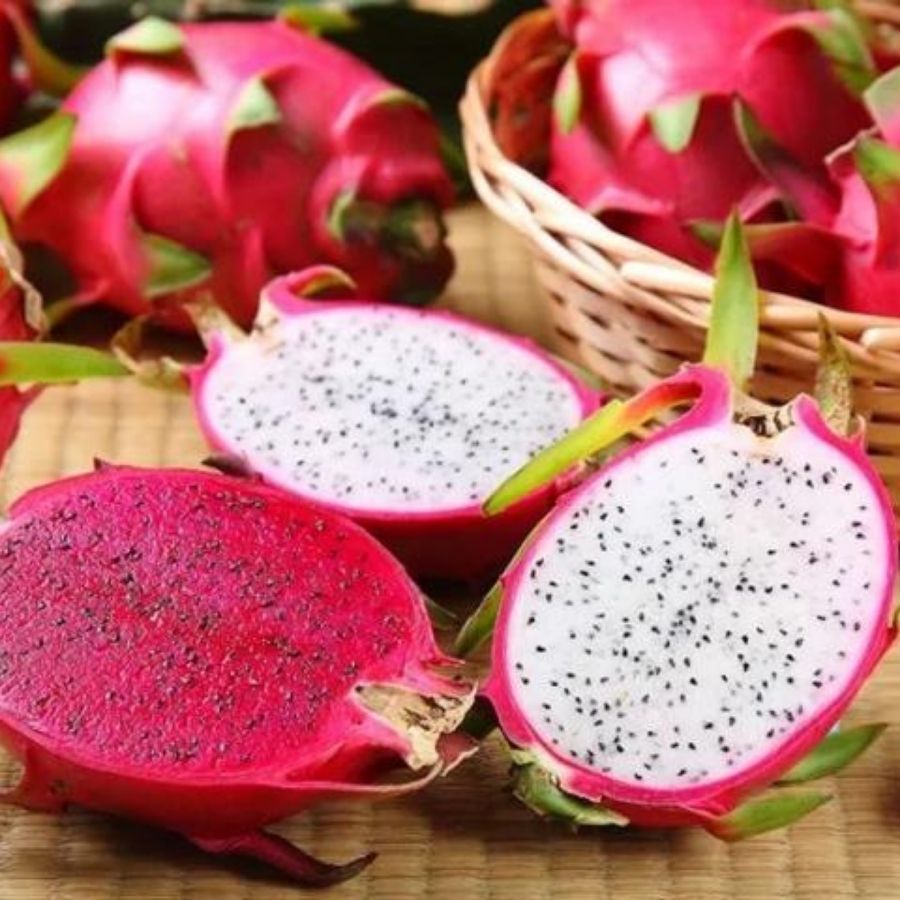 qua-chong-lao-hoa-thanh-long