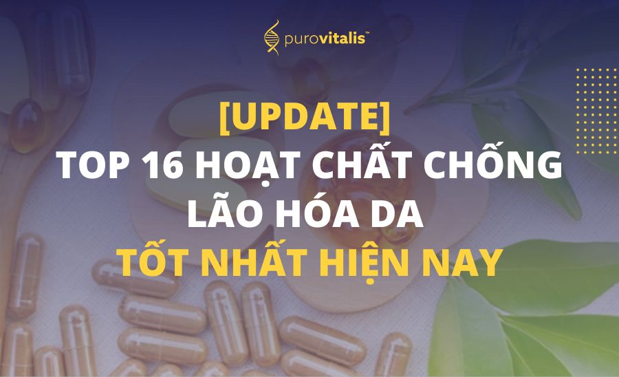 top 16 hoat chat chong lao hoa da