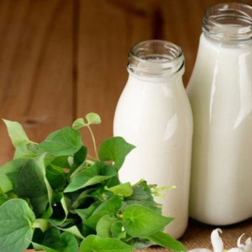 mat-na-diep-ca-voi-sua-tuoi-khong-duong