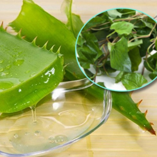 mat-na-diep-ca-voi-nha-dam