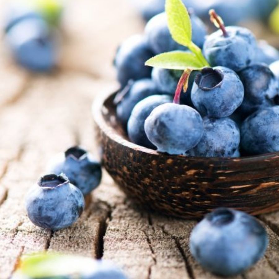 qua-chong-lao-hoa-viet-quat