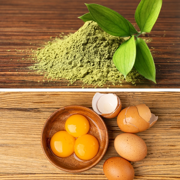 TOP 12 cách đắp mặt nạ lòng đỏ trứng gà trị nám tại nhà hiệu quả nhất 23 bot tra