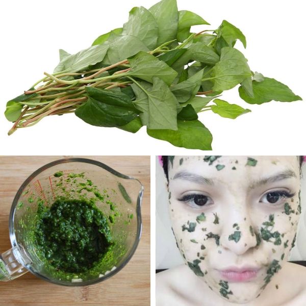 Mặt na rau diếp cá: Tác dụng, lời khuyên sử dụng tối ưu nhất 9 cach dap mat na diep ca