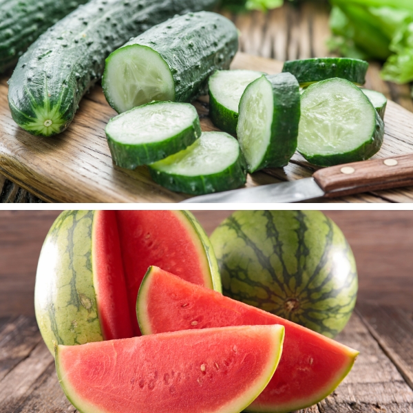 Top 20 cách đắp mặt nạ dưa chuột hiệu quả tại nhà 28 dua chuot dua hau