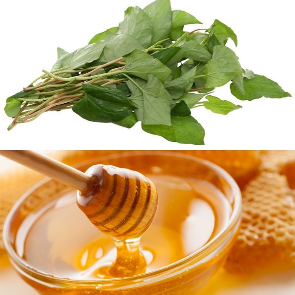 Mặt na rau diếp cá: Tác dụng, lời khuyên sử dụng tối ưu nhất 11 rau diep ca voi mat ong