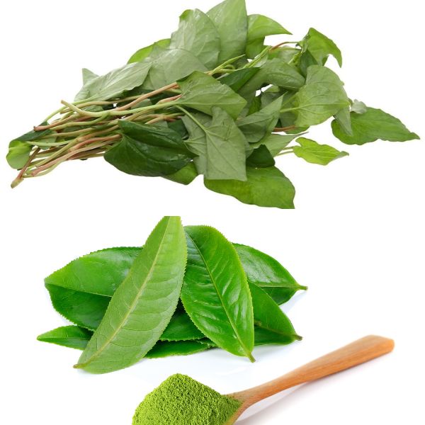 Mặt na rau diếp cá: Tác dụng, lời khuyên sử dụng tối ưu nhất 12 raud eiep ca voi la tra