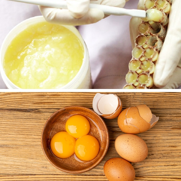 TOP 12 cách đắp mặt nạ lòng đỏ trứng gà trị nám tại nhà hiệu quả nhất 26 sua ong chua