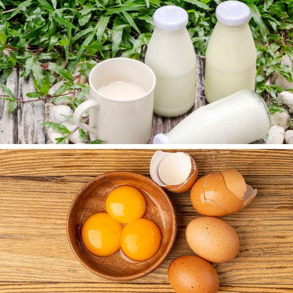 TOP 12 cách đắp mặt nạ lòng đỏ trứng gà trị nám tại nhà hiệu quả nhất 24 sua tuoi