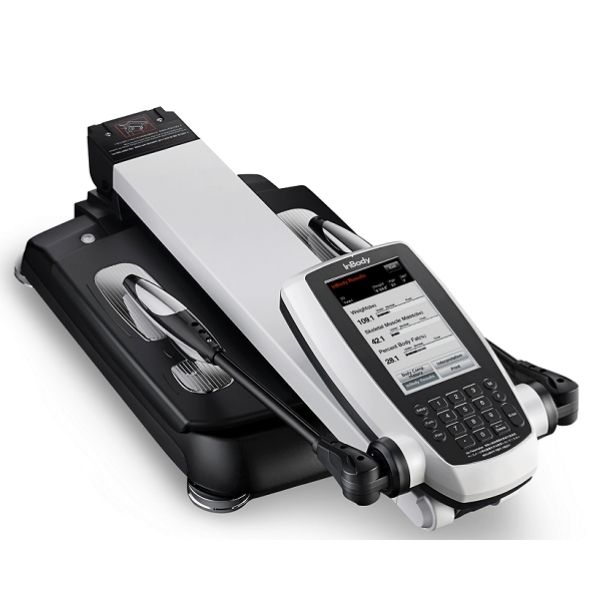 Body fat là gì? Tỷ lệ body fat như thế nào là lý tưởng? 15 132