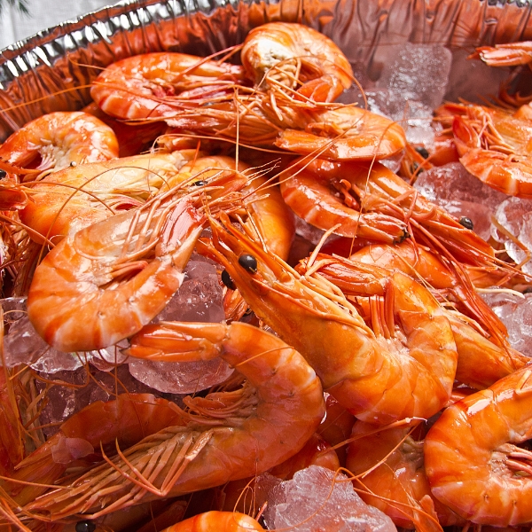 tom-giau-protein-it-calo