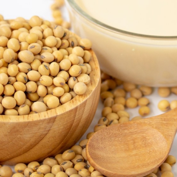 dau-nanh-giau-protein-it-calo