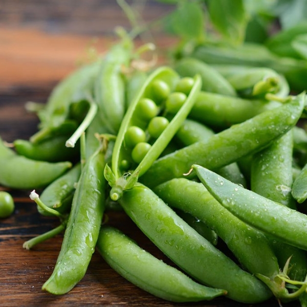 ha-lan-giau-protein-it-calo