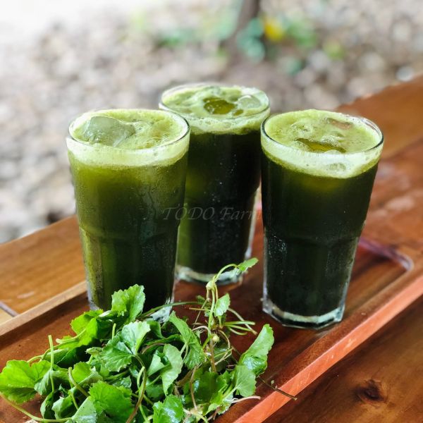 uong-rau-ma-dep-da-het-mun