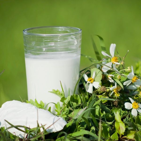 uong-san-day-dep-da-het-mun