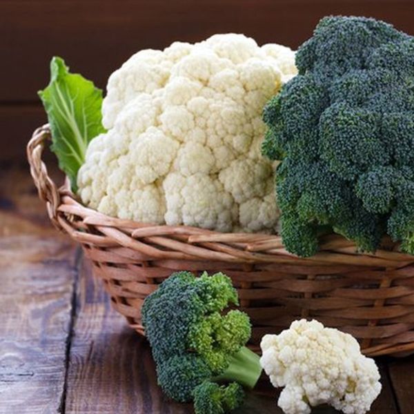 TOP 20 loại rau quả giúp giảm mỡ bụng "thần tốc" 23 sup-lo-giam-mo-bung