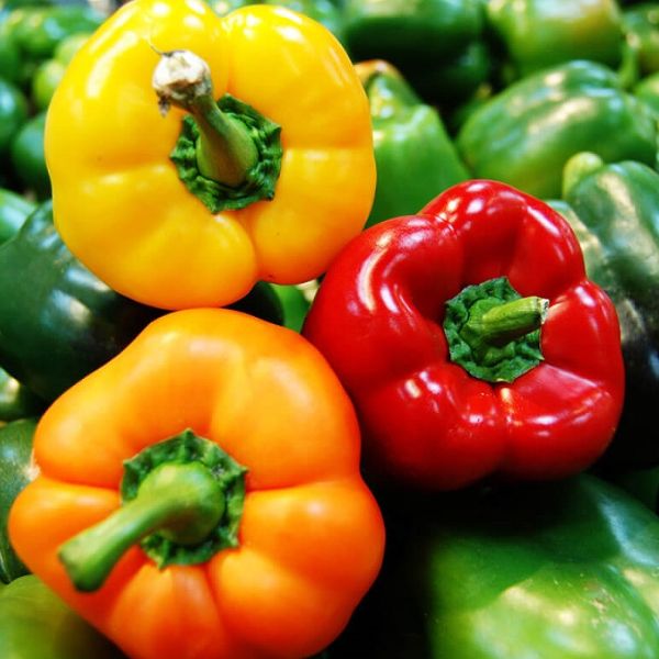 TOP 20 loại rau quả giúp giảm mỡ bụng "thần tốc" 28 ot-chuong-giam-mo-bung