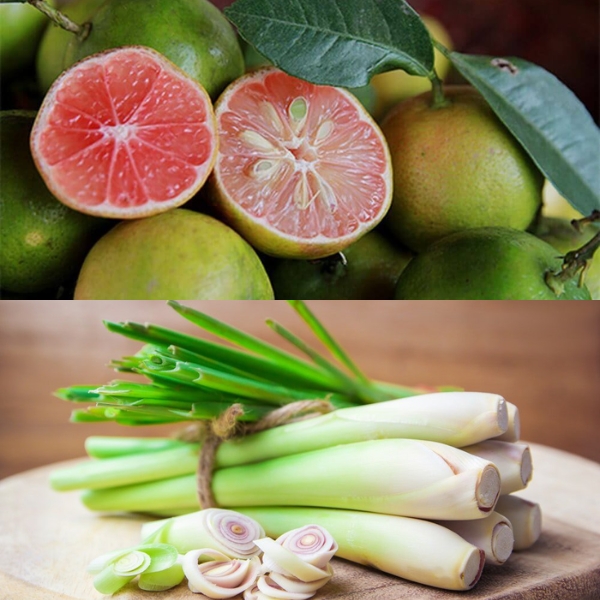 chanh-dao-mat-ong-sa