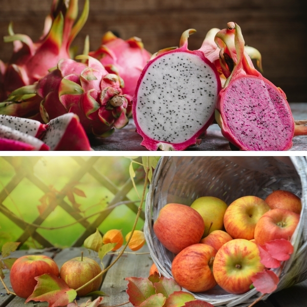 TOP 11 cách mix các loại nước ép giúp da đẹp, dáng xinh 17 tao thanh long