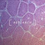 Ảnh chụp Màn hình 2024 07 05 lúc 15.04.56