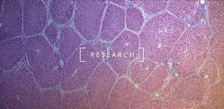 Ảnh chụp Màn hình 2024 07 05 lúc 15.04.56